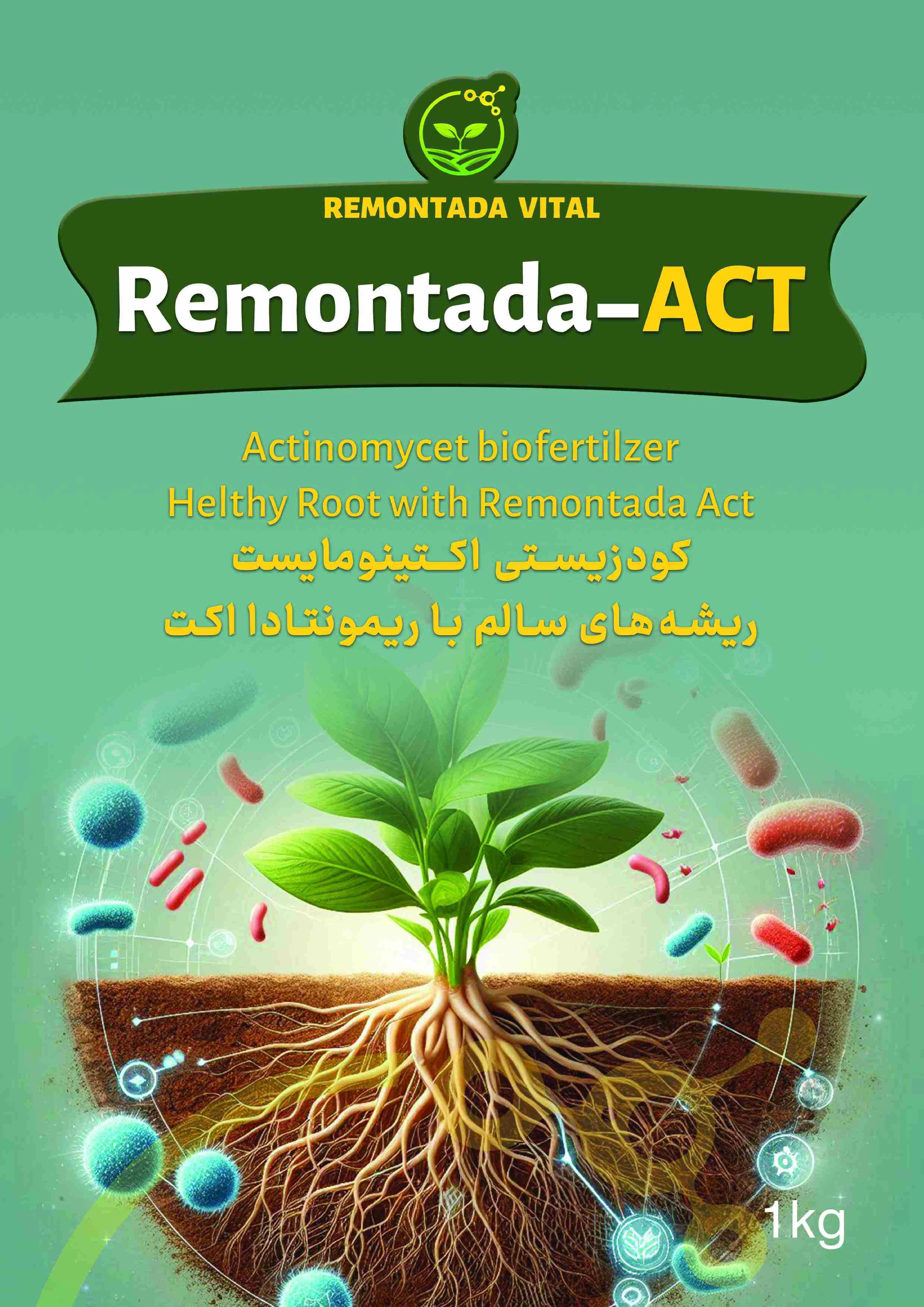 زیستی جامد ریمونتادا -