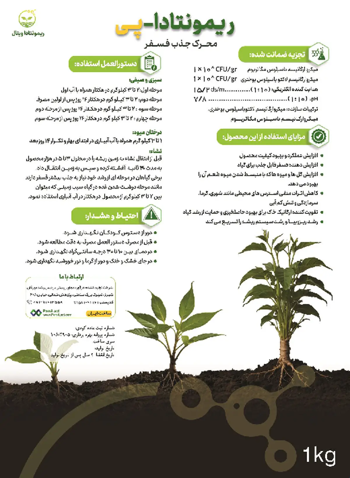 زیستی جامد ریمونتادا - پی