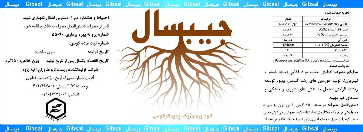 زیستی جامد جیبسال