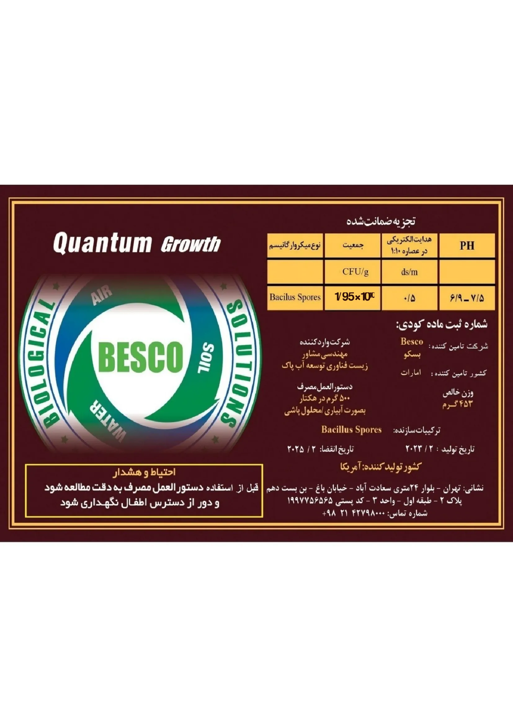 زیستی جامد قوانتوم گراوت